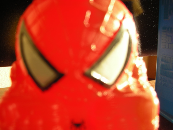 photo by Anna Christina