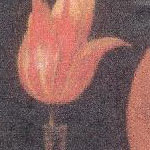 Thierry Tillier Collages