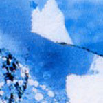 Thierry Tillier at the Bateau Ivre