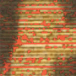 Musée Royal de Mariemont